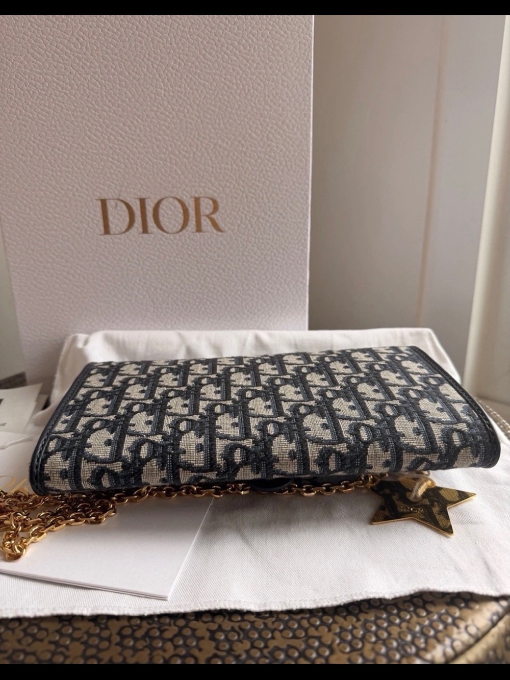 Dior Oblique Monogram Navy/Beige Crossbody with Gold Hardware - Picture 8 of 11